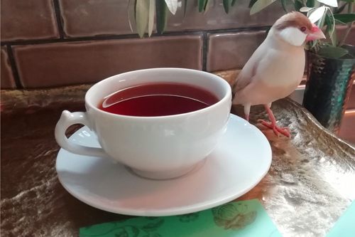 フォートナムメイソンの紅茶とGDAトゥルヴィルカップ